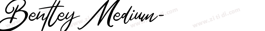Bentley Medium字体转换